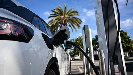 Closeup of white electric car plugged into a public charging station with a palm tree in background