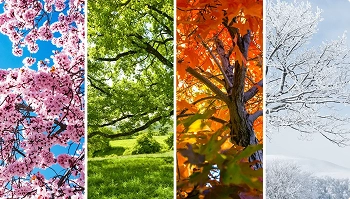 four seasons graphic showing how spring, summer, fall, and winter affect car shipping