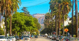 California car shipping palm lined california street with mountains in the background for car shipping