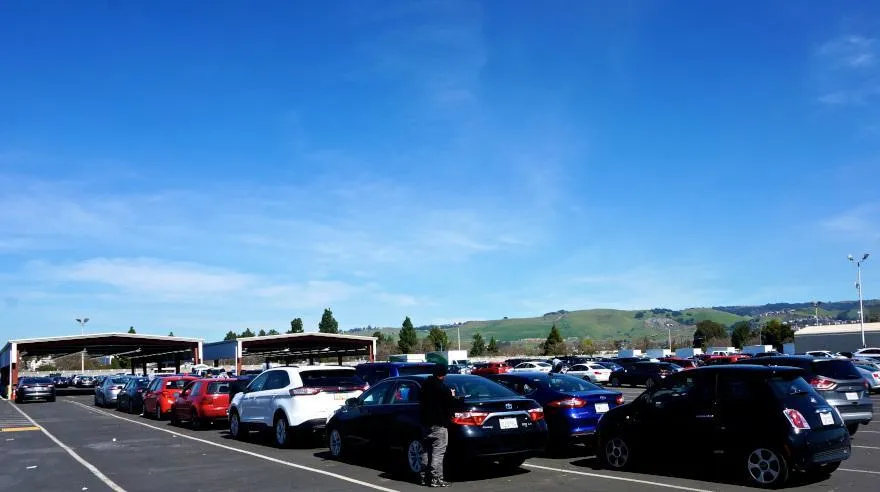 Rows of vehicles parked at an auto auction lot under a clear blue sky with covered structures in the background
