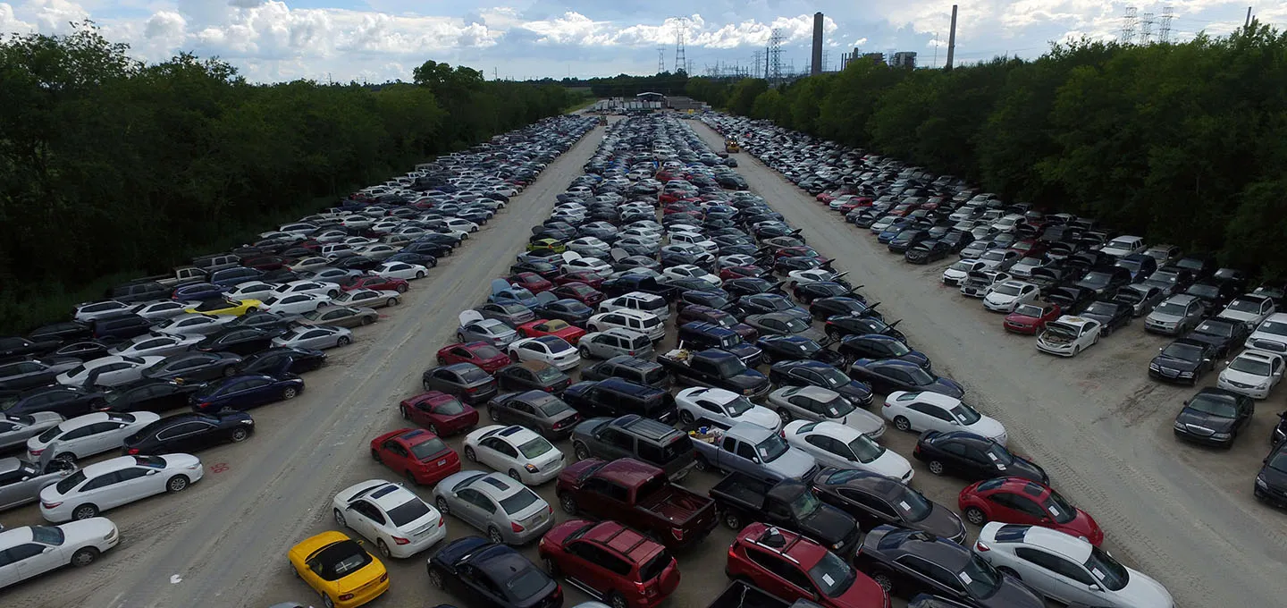 Aerial view of an outdoor auto auction lot with hundreds of cars parked in long rows surrounded by trees
