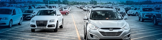 vehicles lined up at auto auction lot ready for transport