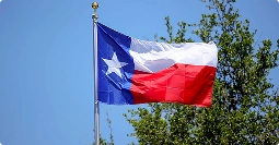 texas state flag waving on a pole against blue sky and trees
